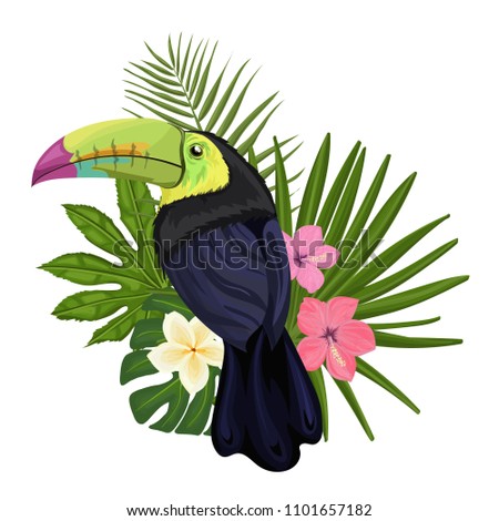 Vector illustration with a toucan and tropical exotic flowers, leaves on a white background