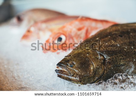 Hirame, olive flounder, bastard halibut or Japanese halibut and assorted fresh raw fishes on crushed ice. Kitchen food preparation, fresh supermarket or fish market concept