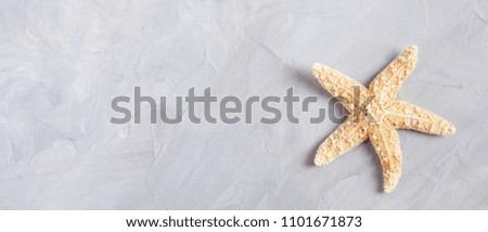 Top view to starfish over the pastel background. Minimalist summer seaside vacation concept