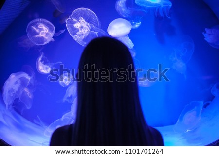Girl from the back looks on school of jellyfishes. Underwater marine life. Small jellyfishes illuminated with blue light swimming in aquarium.