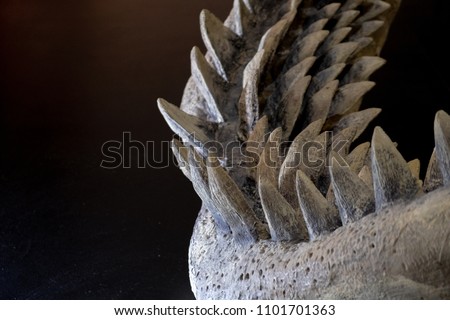 Close-up of megalodon shark - the biggest shark teeth on black background Royalty-Free Stock Photo #1101701363