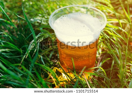 a glass of beer in the grass. sunlight