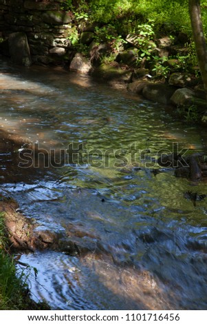 Stream flowing by bushes