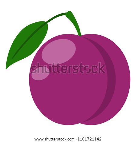 Plum Illustration - Plum with stem and leaf isolated on white background Royalty-Free Stock Photo #1101721142
