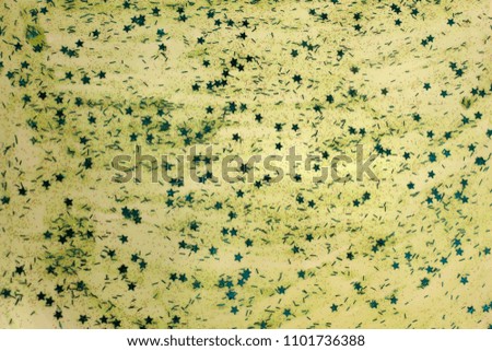Green shiny textured Glitter paint with star sequins