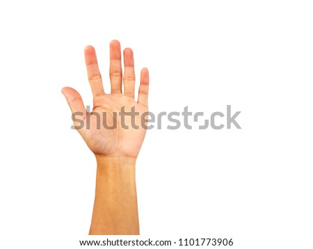 hand of man is show palm up isolated on white background