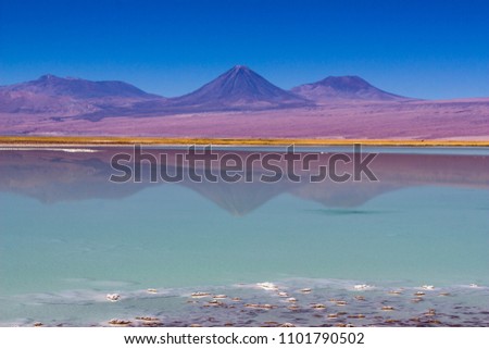 Salt lakes inside Atacama Desert at Chile in the middle of the Andes with an amazing view over Licancabur Volcano