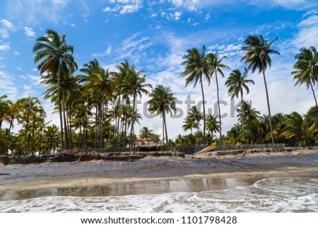 Beautiful beaches with palm trees and dark sand on the Ecuadorian coast, Cojimies Ecuador