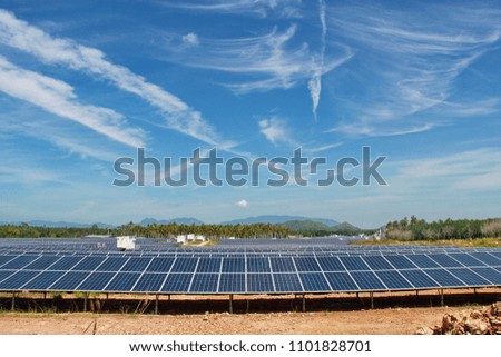 Solar farm produces electricity from solar power