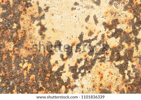 Painted rusty metal sheet

