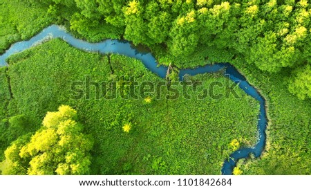 Aerial photo of estuary. View above of a fragment of a forest river. Background for  a fishing theme. 