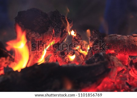 Burn wood for camping
