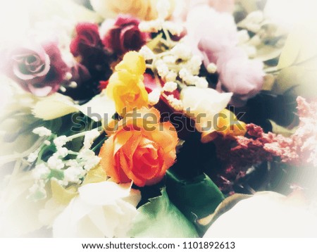 Blurred picture of colorful flower. Background concept.