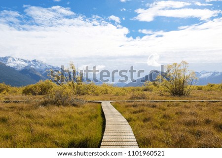 Park and snow mountains with blue sky