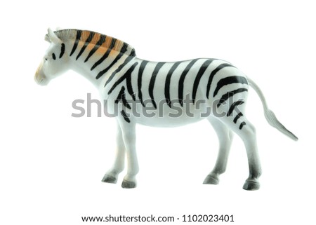 Zebra Toy on white background
