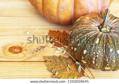 Ripe orange and green pumpkins and dry grain ears on a wooden background. Autumn rustic still life. Thanksgiving Day. Empty space for text