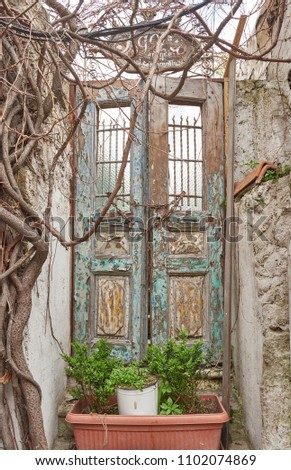 old wood door outside. vintage wooden door.