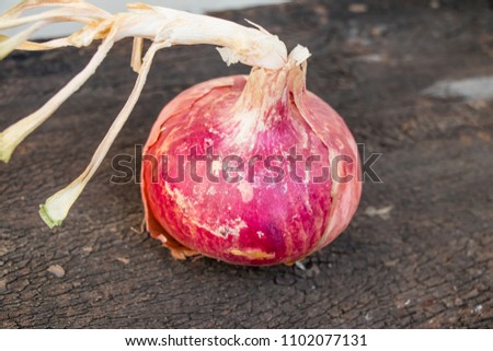 Image of a raw onion