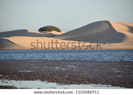 The biggest sand dunes from South Africa near the Sundays River in Colchester near Addo Elephant Park Royalty-Free Stock Photo #1102086911