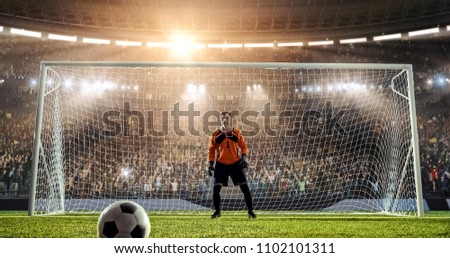 Goalkeeper is waiting to catch a ball from a penalty kick on a professional soccer stadium. Stadium and crowd is made in 3D. Royalty-Free Stock Photo #1102101311