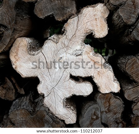 Stack of cut logs fire wood (white horse), Venezuela