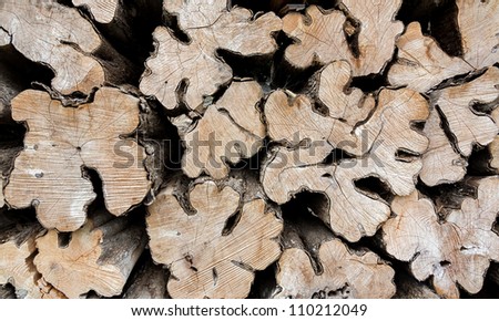 Stack of cut logs fire wood, Venezuela, Latin America