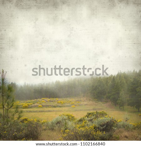 textured old paper background with Gran Canaria landscape on a foggy day 