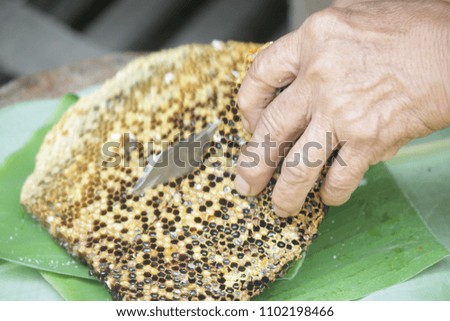 Honeycomb put on green banana leaf Food in Thailand