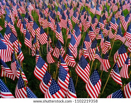 American Spirit; A Large Array of American Flags on a Green Field; Holidays, Military,  Veterans, Independence, Vietnam and Patriotism Themes, Presidential Elections Royalty-Free Stock Photo #1102219358