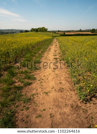 Long dry dirt path across fields