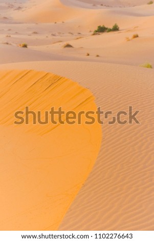 Dune Lanscape of Merzouga desert, Morocco
