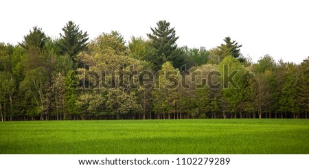 Wide, isolated landscape including vibrant green grass and a full tree line set against a solid white background. Tree line includes a variety of tree types, sizes, heights and shades of green. Royalty-Free Stock Photo #1102279289