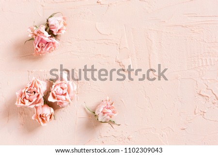 Tender textured pink background with dried roses, copy space