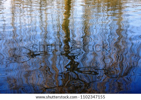 water reflections and patterns