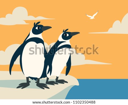 Cute penguins. Family of arctic birds look into the distance against the sky with clouds and seagull. Colorful vector illustration of two penguins in flat cartoon style on antarctic sunrise seascape.