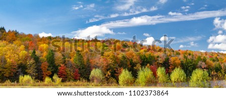 Colorful fall forest foliage in panoramic New England landscape scene