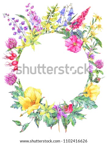 Watercolor summer medicinal flowers, wildflowers. Botanical illustration isolated on white background, natural round frame. Colorful bouquet