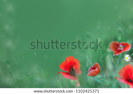 red poppies on green background collage