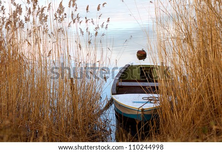 View between tall aquatic reeds and grasses to a small rowboat moored on the lakeshore in a mirror calm lake Royalty-Free Stock Photo #110244998