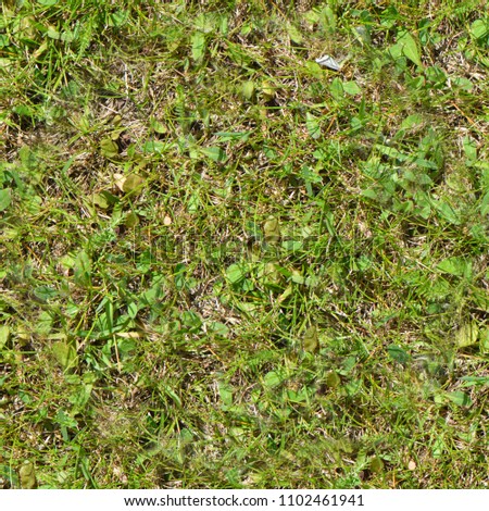 Seamless grass. Fresh green grass moss floor garden texture background