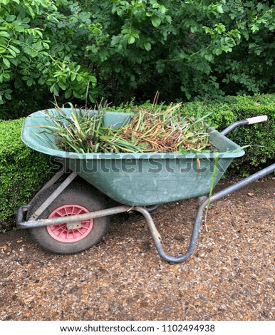 Garden elements, wheelbarrow with weeds