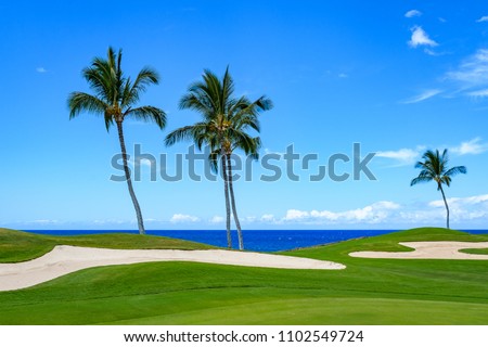 Sunny day on a tropical golf course fairway with palm trees, sand traps, blue pacific ocean, and blue sky and white clouds in the background
 Royalty-Free Stock Photo #1102549724