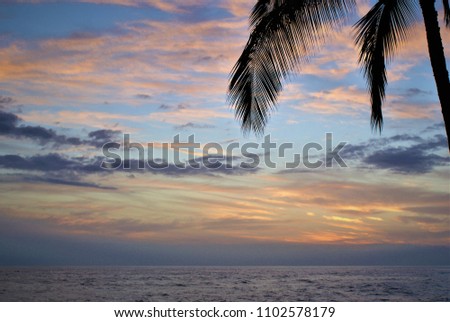 Beautiful tropical sunset Background.
