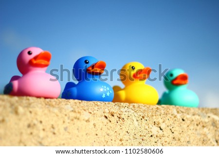 Rubber Ducks in nature