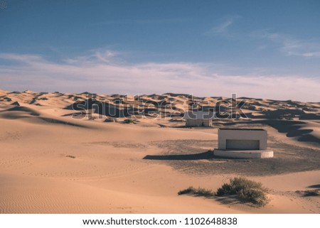 dunes in desert at sunset landscape