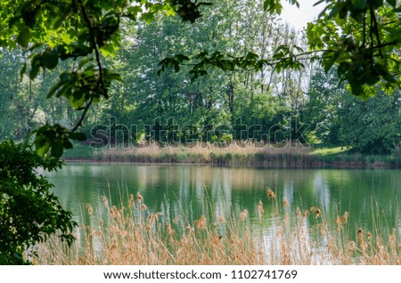 Romantic lake with reflection within lush green trees