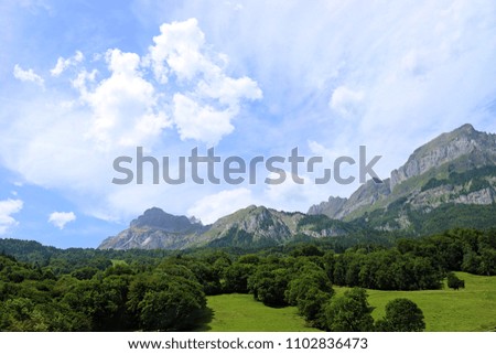 A green valley in the Alps