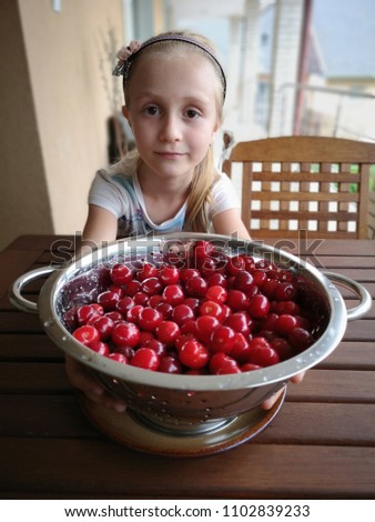 Happy little girl eating fresh cherry on plate on wooden blue background. fresh ripe cherries. sweet cherries.