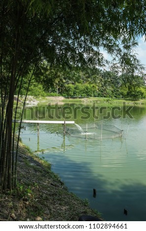 Scenic and idyllic surroundings with natural tree shades and foliage / Countryside Fishing Pond / Great pace for relaxation and peace of mind with family