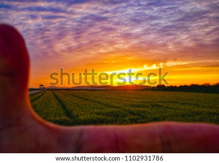 Natural Sunset at evening in barley field.Sunset Photo on a fingers.Bright Dramatic Sky And Dark Ground.Countryside Landscape Under Scenic Colorful Sky At Sunset.Sun Over Skyline,Horizon.Warm Colors
